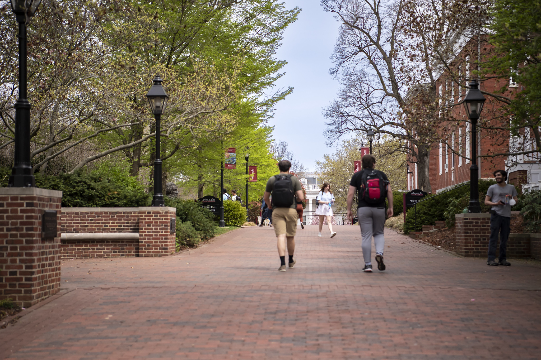 Students walking on the Washington College Campus